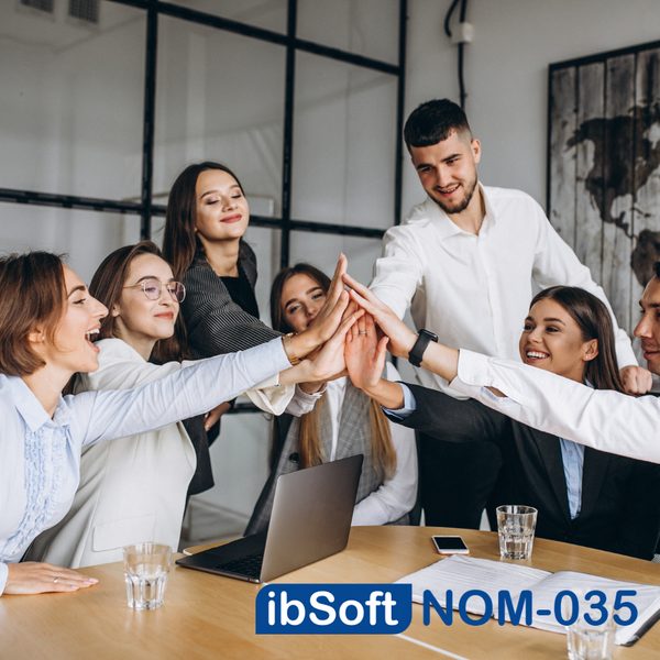 ibSoft NOM-035